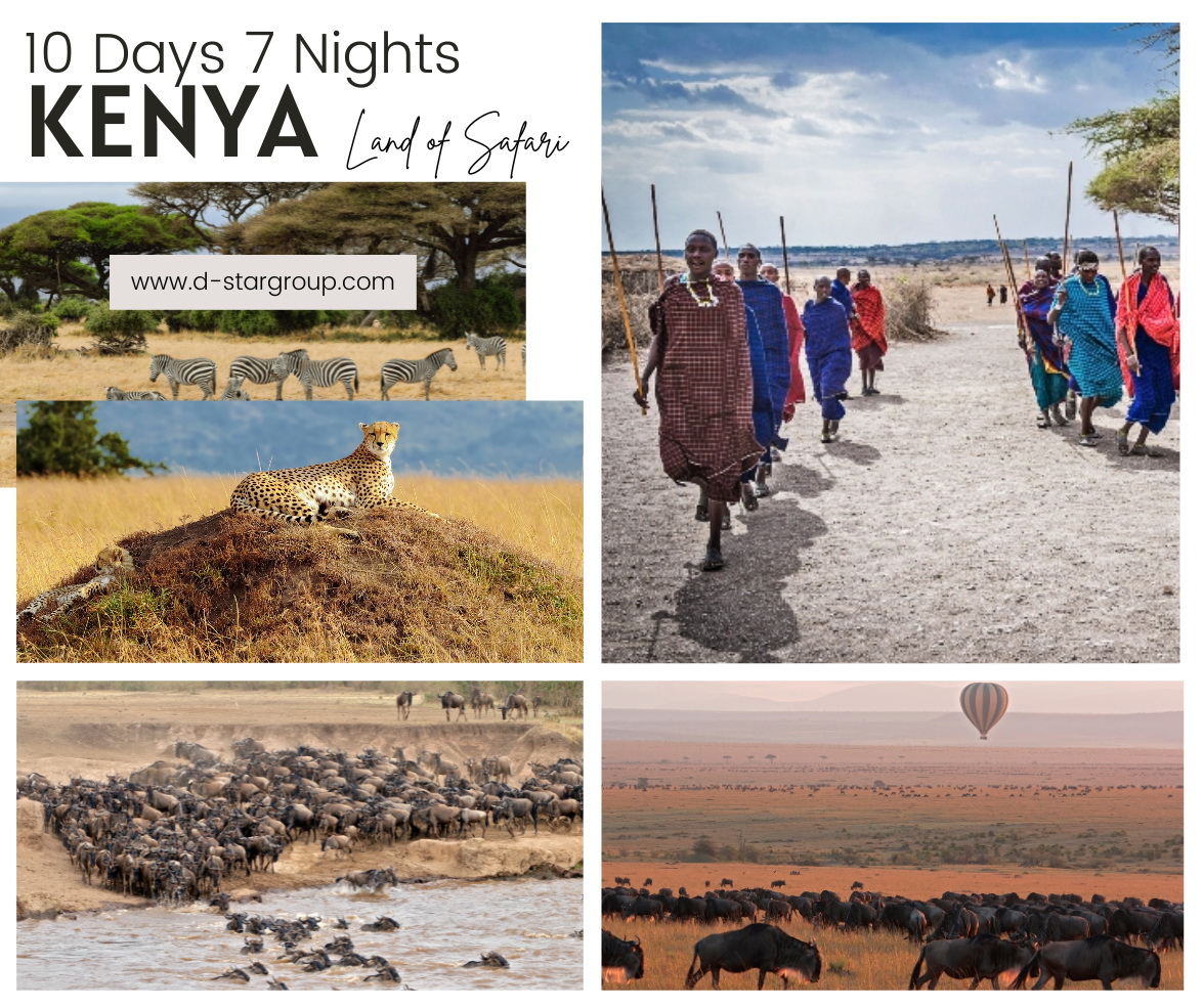 ทัวร์เคนย่า Land of Safari Kenya 9 วัน 7 คืน (EK)