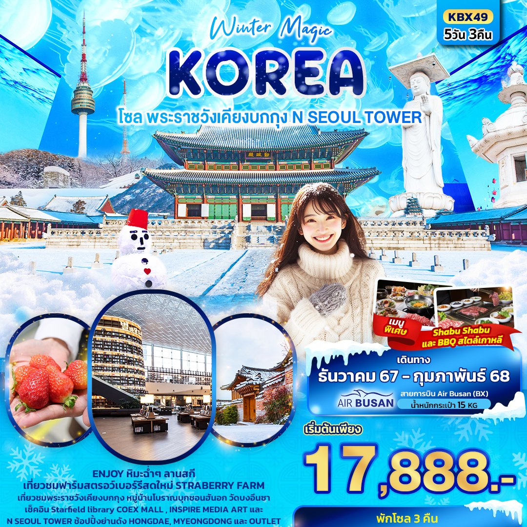 ทัวร์เกาหลี Winter Magic Korea Seoul โซล พระราชวังเคียงบกกุก N SEOUL TOWER 5วัน 3คืน (BX)